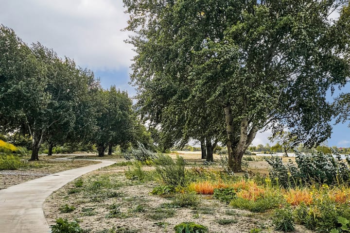 Foto 58 van Duintopstraat 42