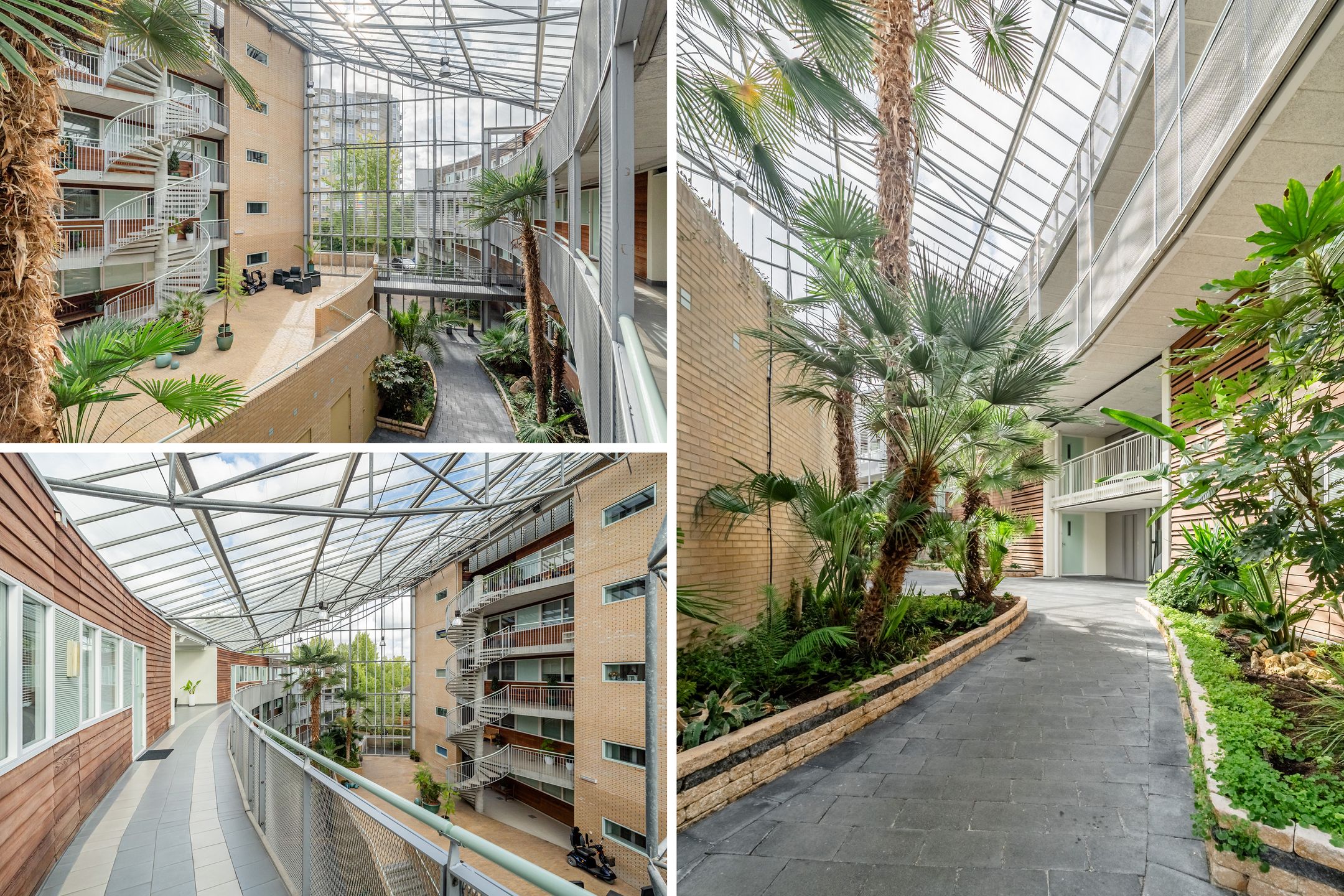 Foto 39 van Felix de Nobelhof 25