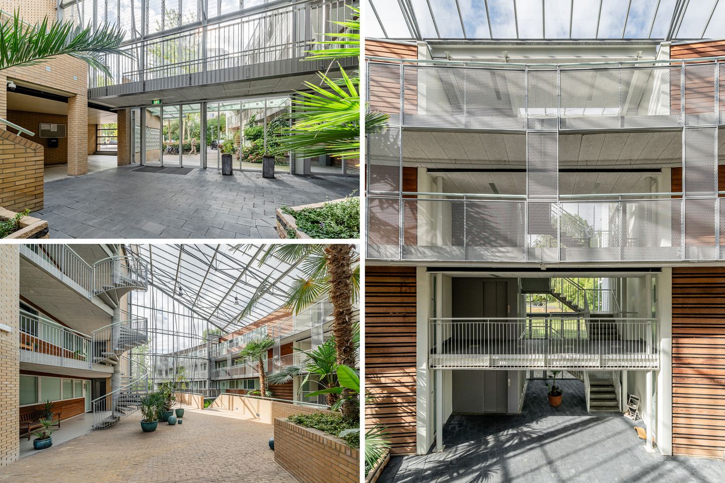 Foto 40 van Felix de Nobelhof 25