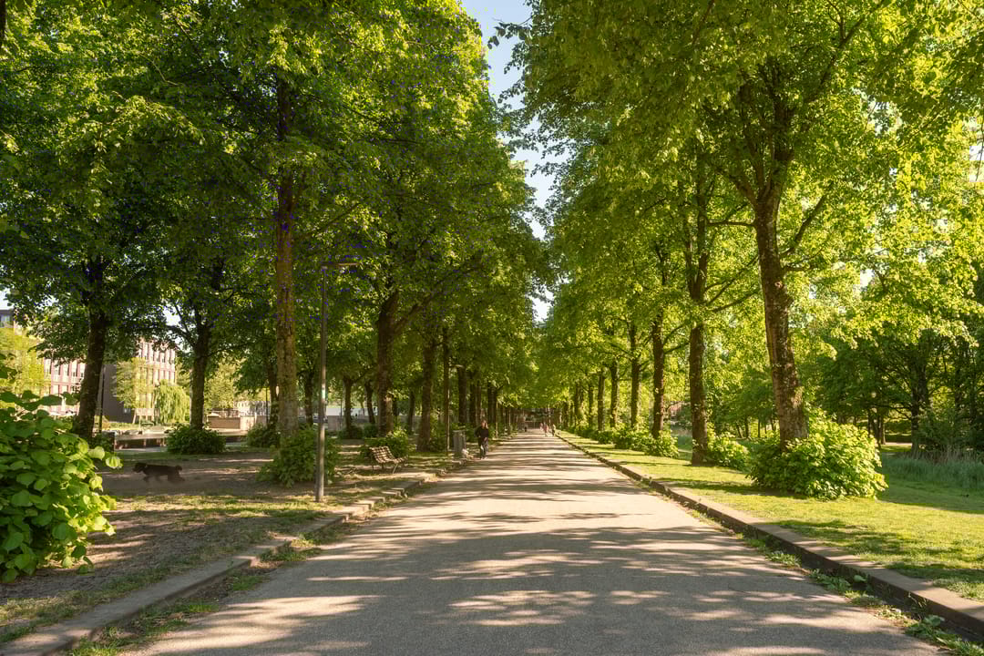 Foto 37 van Baetostraat 9-1