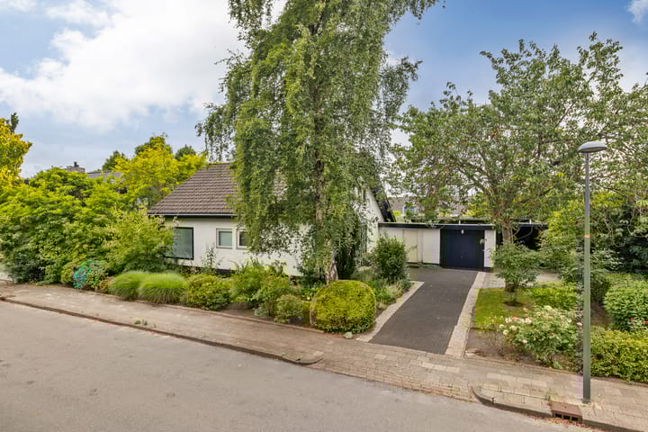 Foto 2 van Tjotter 6