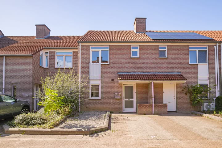 Insula 34 main image