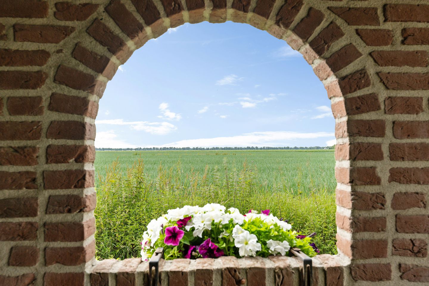 Photo 44 of Musselweg 162