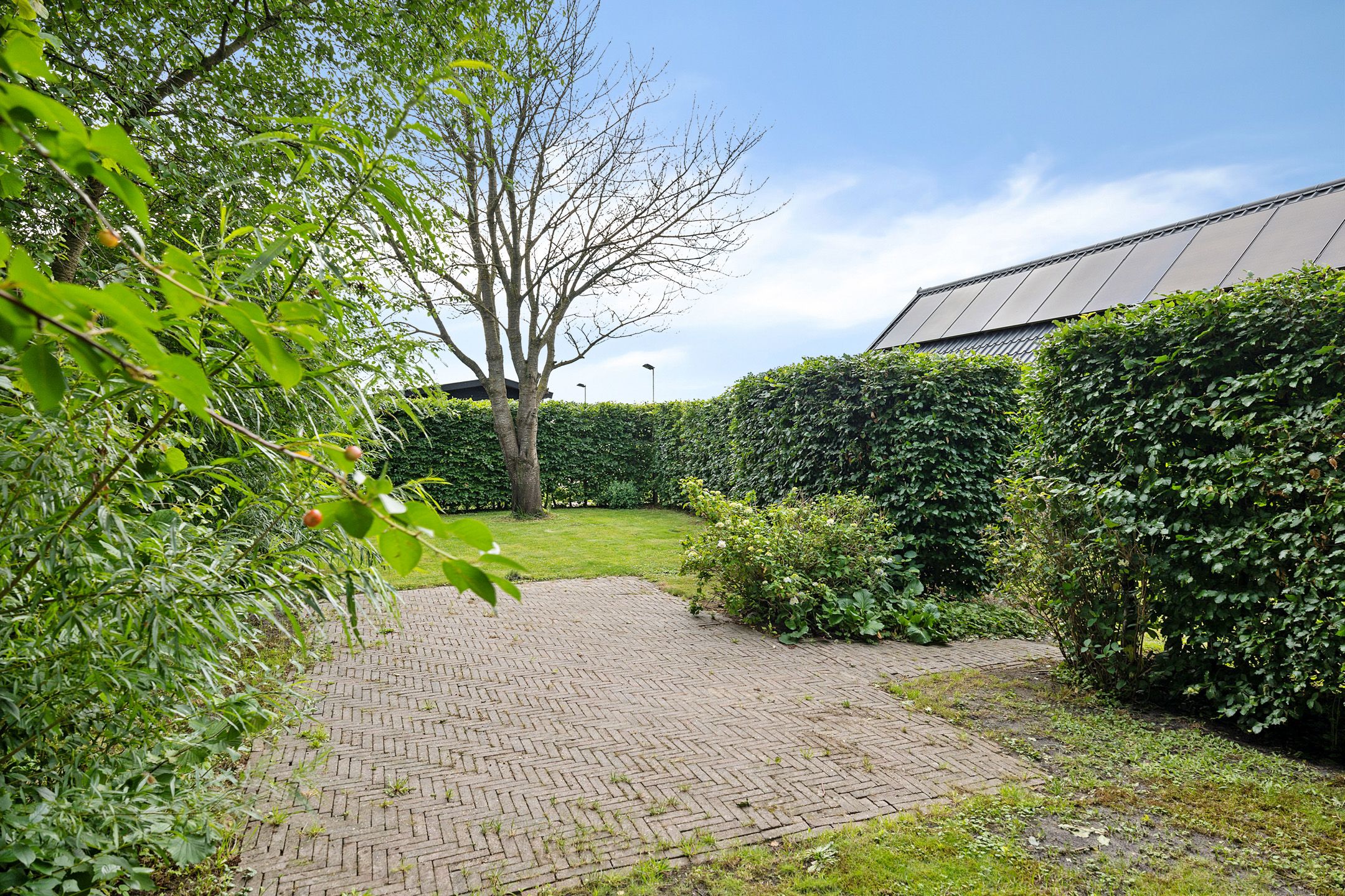 Photo 48 of Musselweg 162