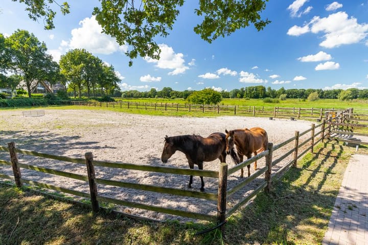 Foto 42 van Markdal 3-A