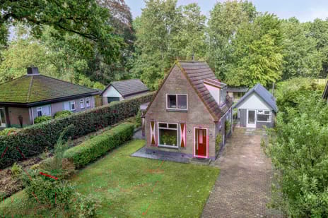 undefined main image