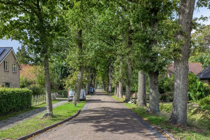 Foto 45 van Oosterse Es 67