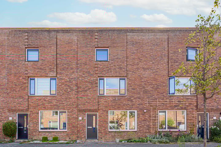 Foto 2 van Adderwortel 16