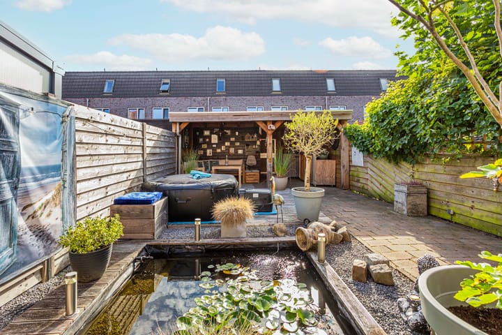 Foto 16 van Adderwortel 16