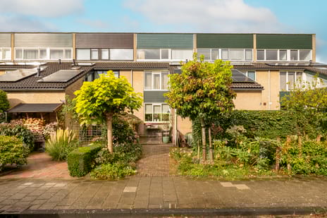 undefined main image