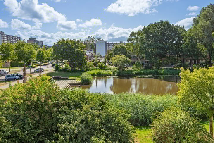 Foto 32 van Plutostraat 80