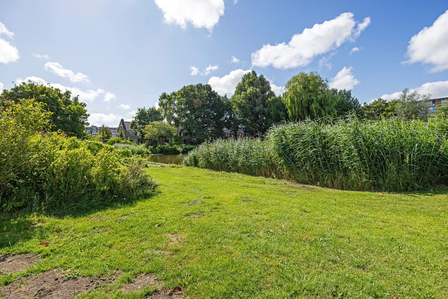 Foto 35 van Plutostraat 80