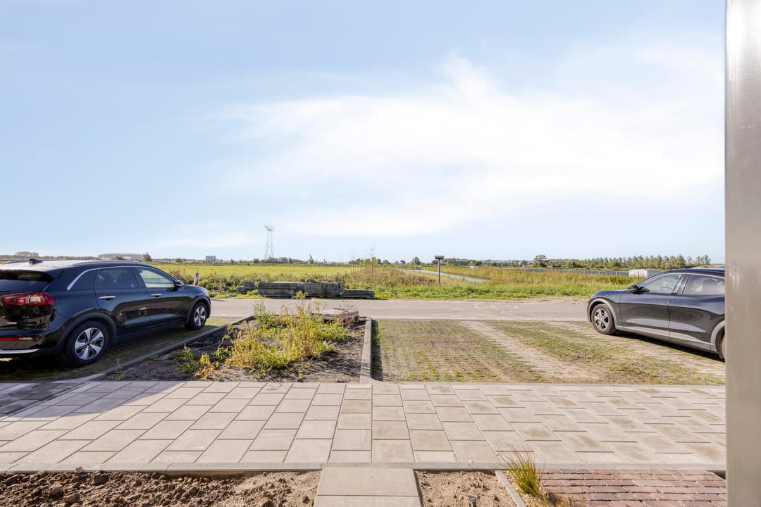 Foto 26 van Schapenveld 23