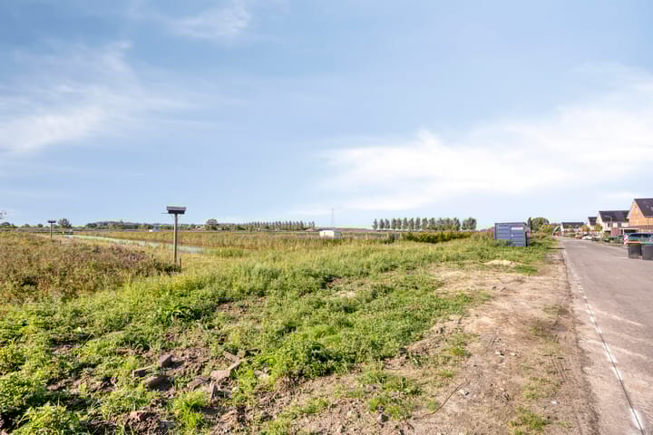 Foto 27 van Schapenveld 23