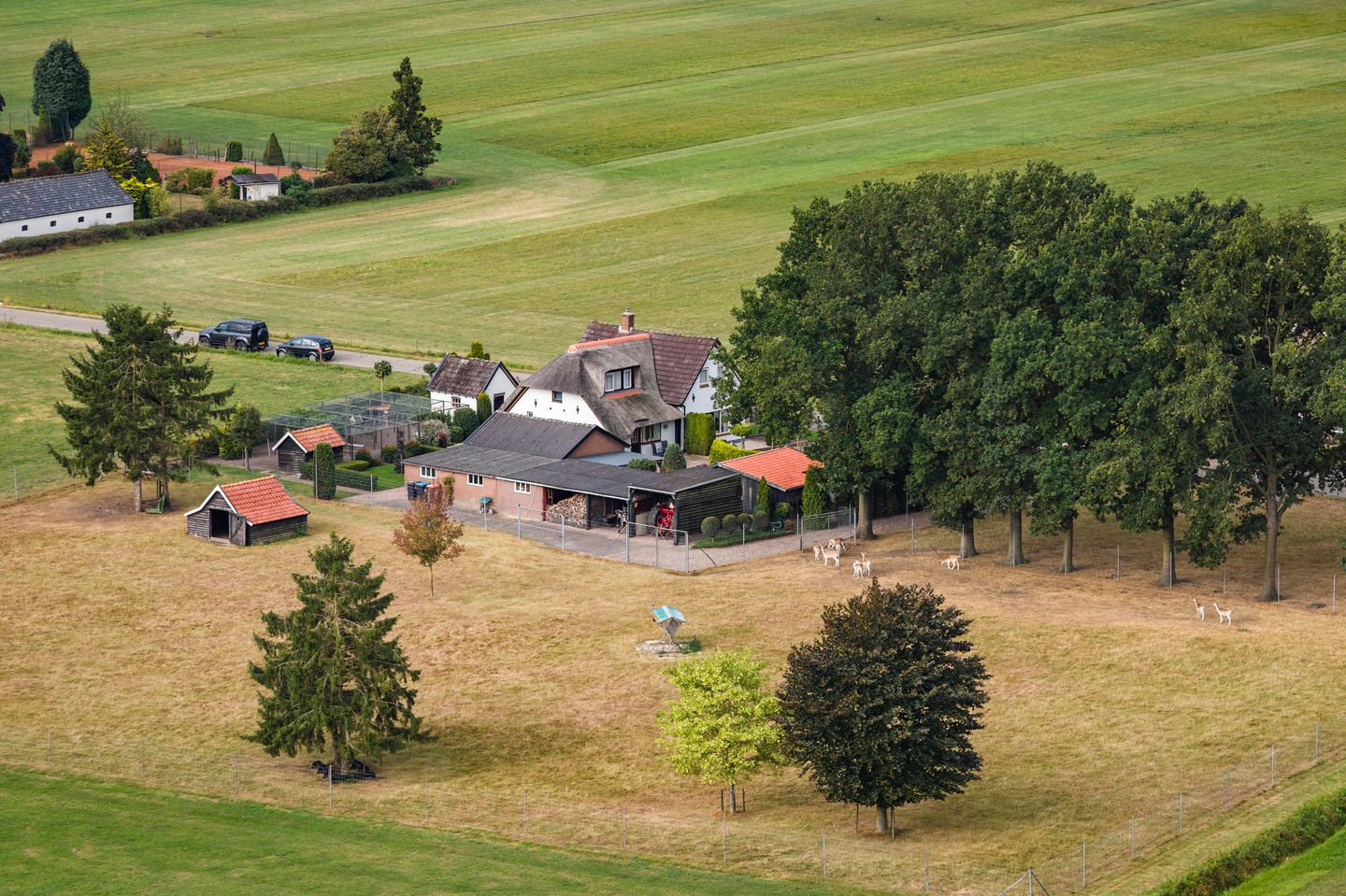 Foto 4 van Hildestraat 5