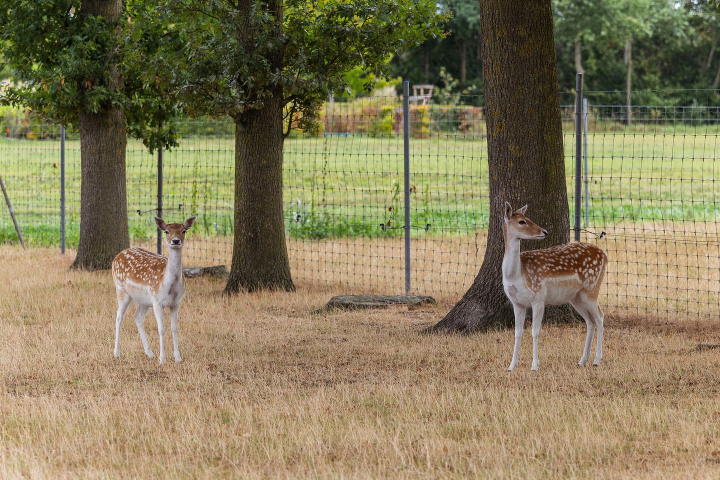 Foto 35 van Hildestraat 5