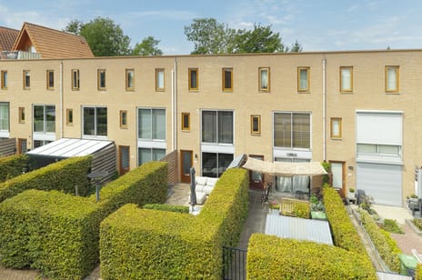 undefined main image