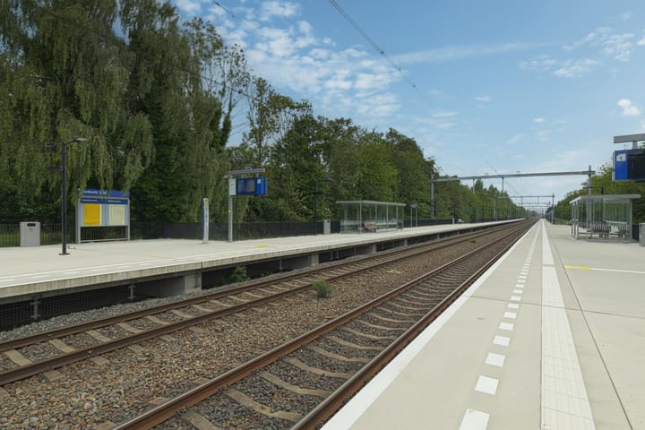 Foto 34 van Piersonstraat 161