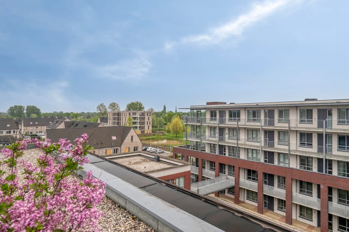 Foto 38 van de Wieken 55