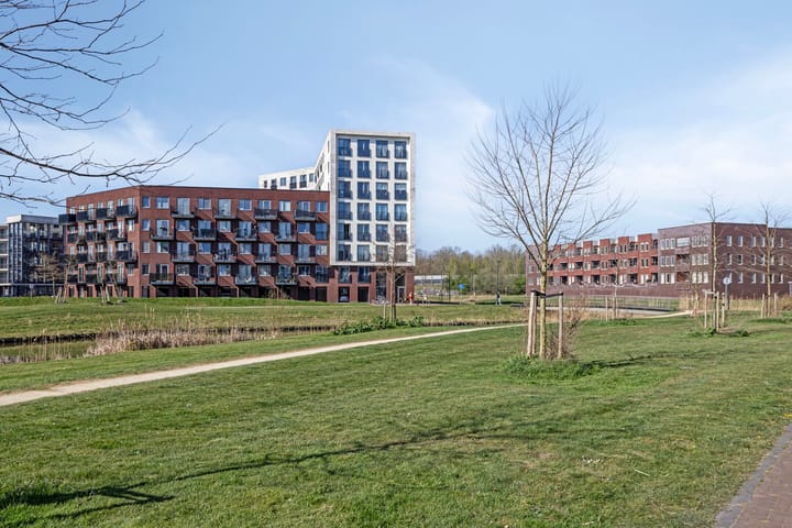 Foto 62 van Singelbuurt 6