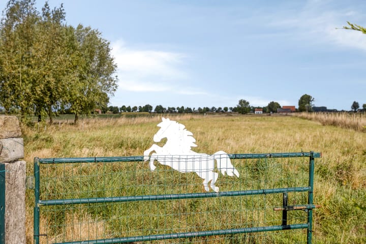 Photo 39 of Middenweg 5