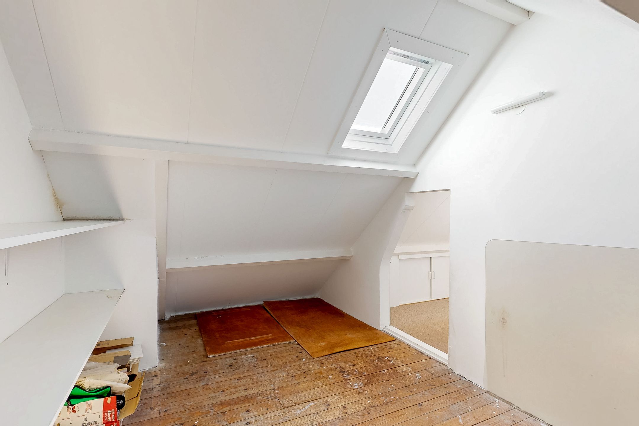 Foto 27 van Van Trigtstraat 53