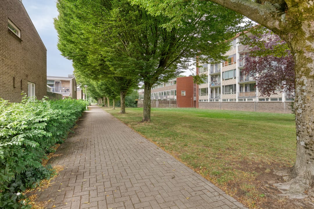 Foto 31 van Van Galenstraat 55-3