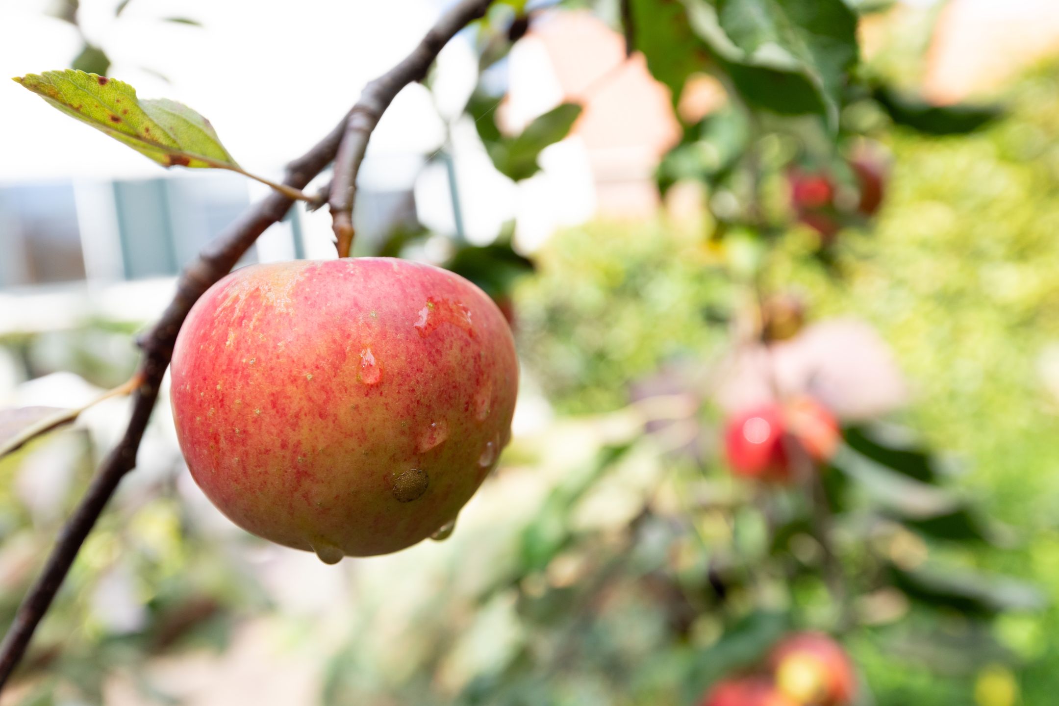 Foto 69 van Venestraat 22