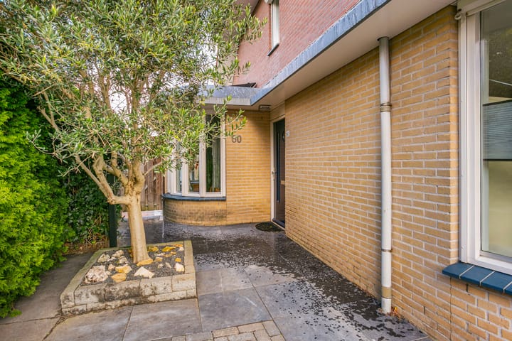 Foto 7 van Octavianus 60