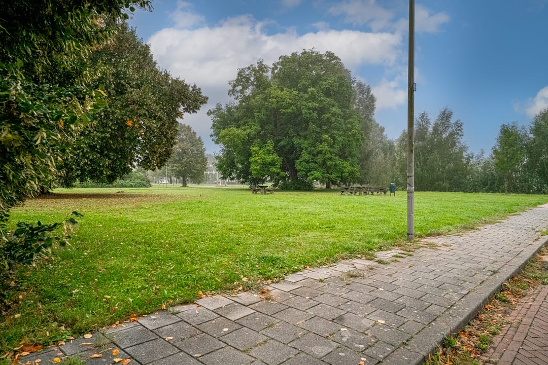 Foto 53 van Paardebloemstraat 32