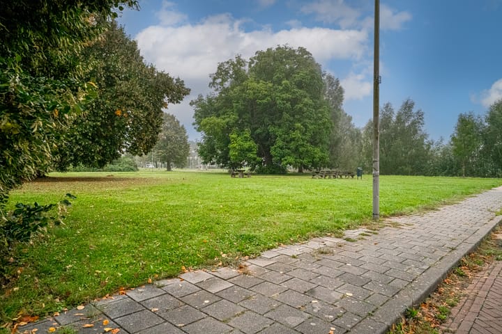 Foto 53 van Paardebloemstraat 32