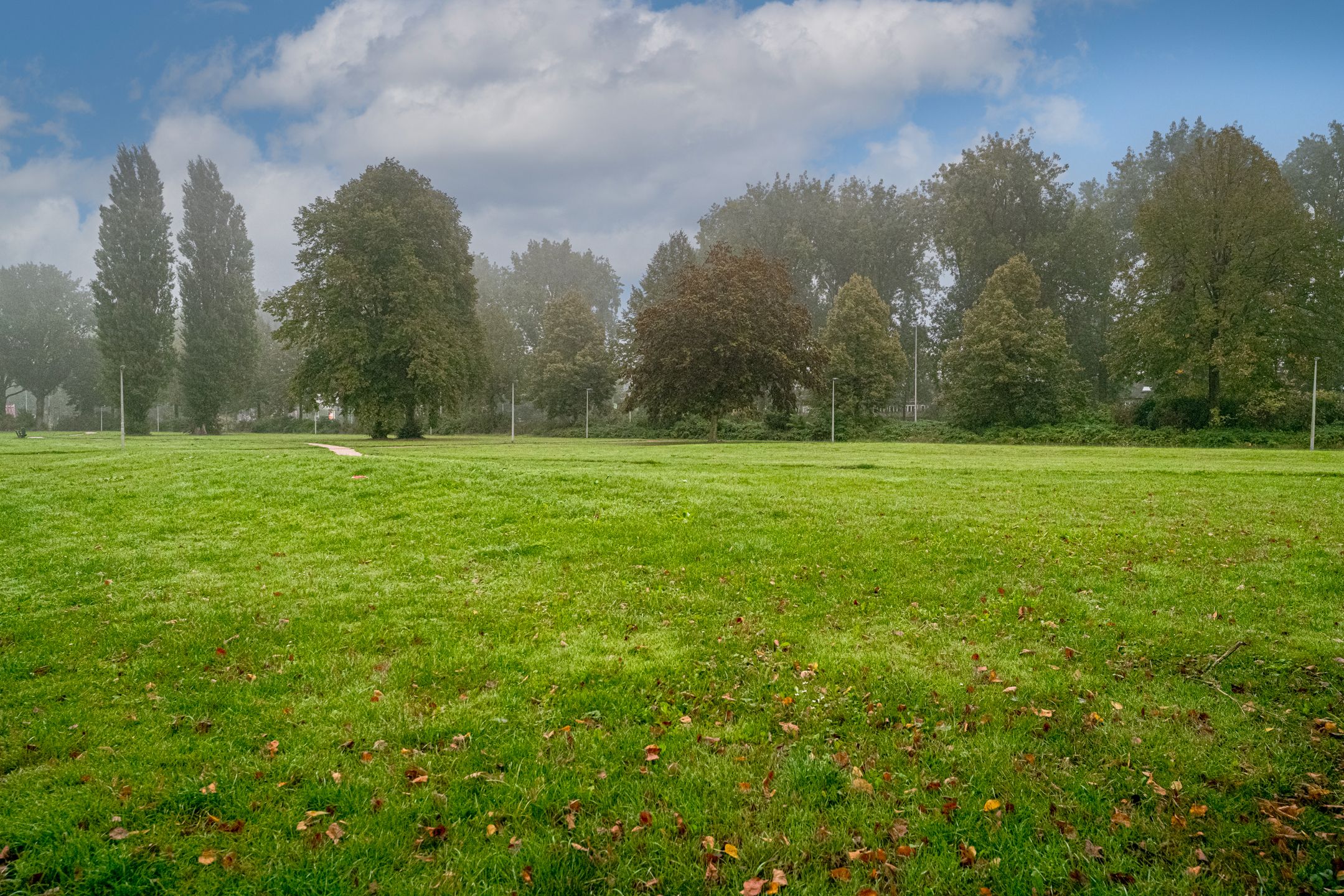 Foto 54 van Paardebloemstraat 32