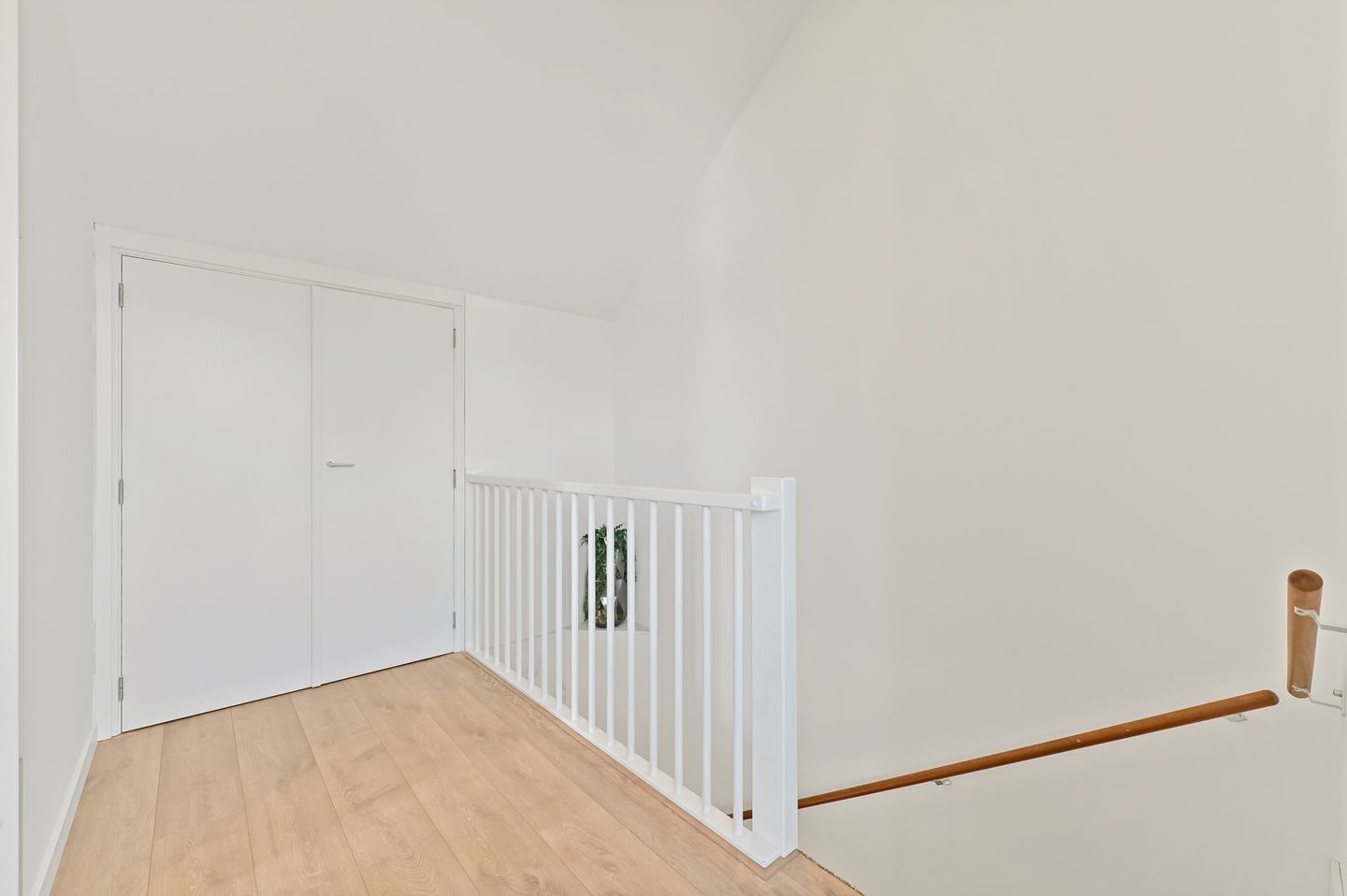 Foto 40 van Vossenzoom 246