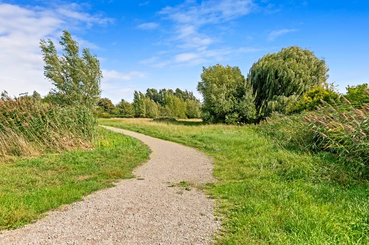 Foto 54 van Vossenzoom 246