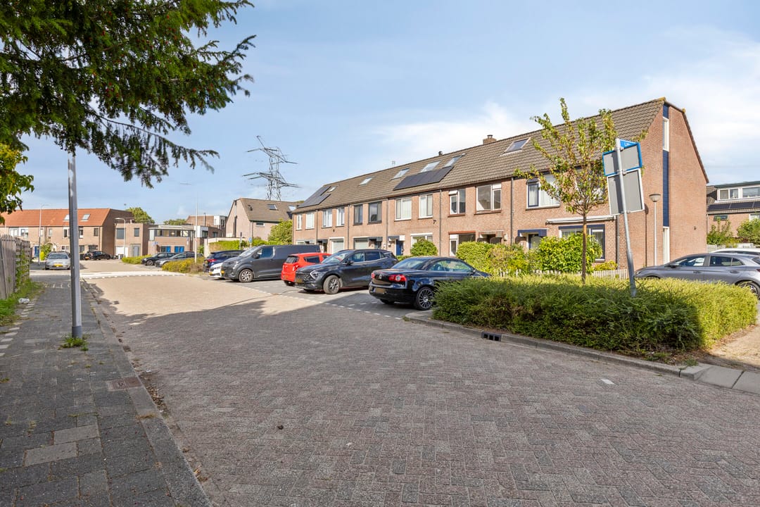 Foto 8 van Grafiek 91