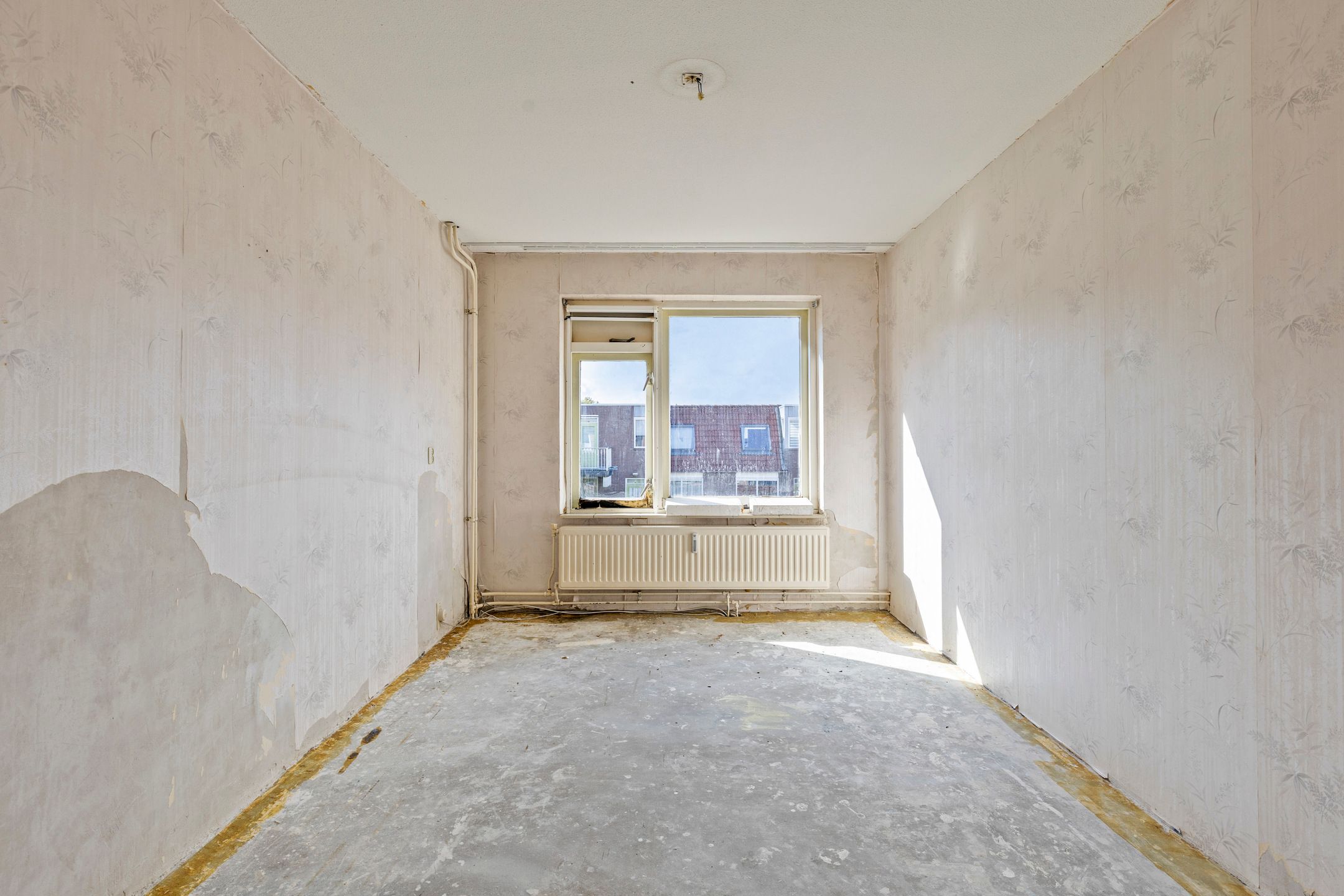 Foto 21 van Grafiek 91