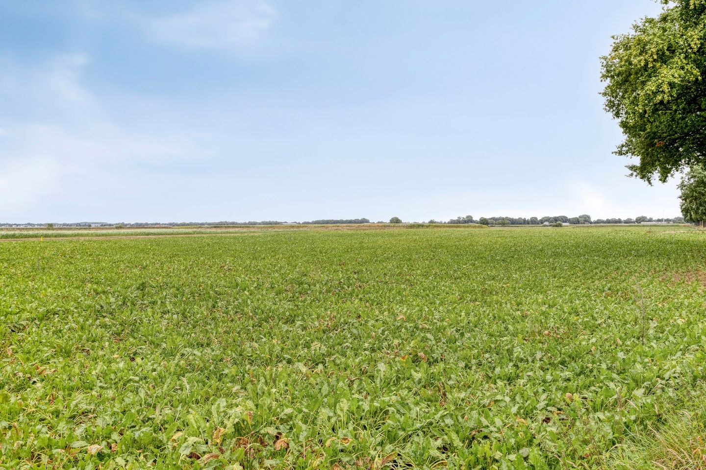 Photo 70 of Hoofdweg 134