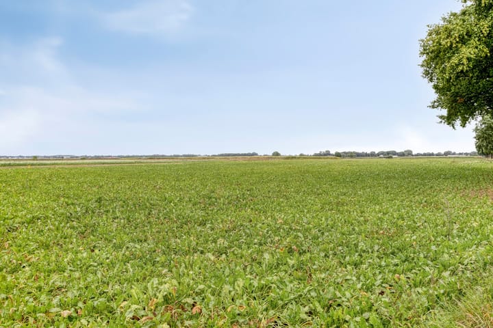 Foto 70 van Hoofdweg 134