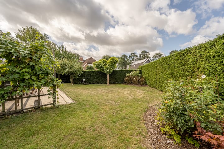 Foto 3 van Hoofdland 46