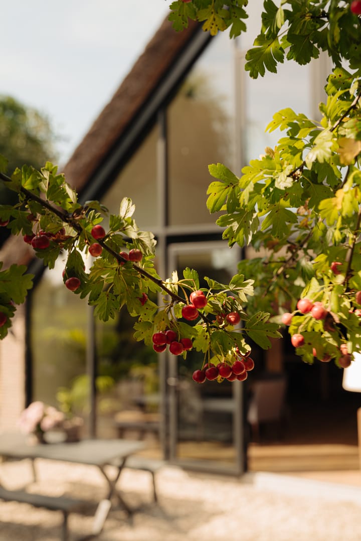 Foto 17 van Winkeldijk 11