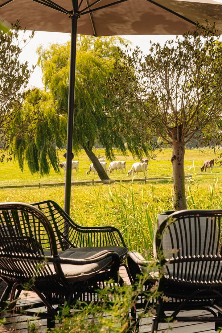 Foto 21 van Winkeldijk 11