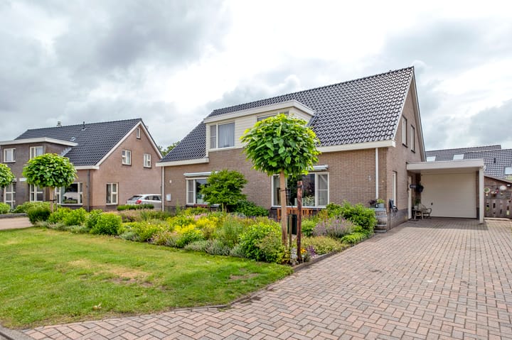 Foto 59 van Vlasakkers 8