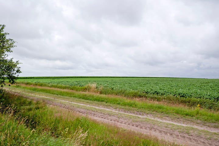 Foto 65 van Vlasakkers 8