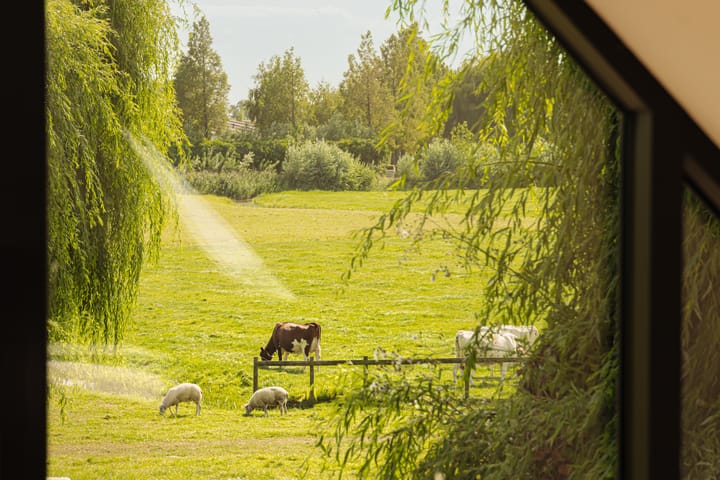 Foto 49 van Winkeldijk 11