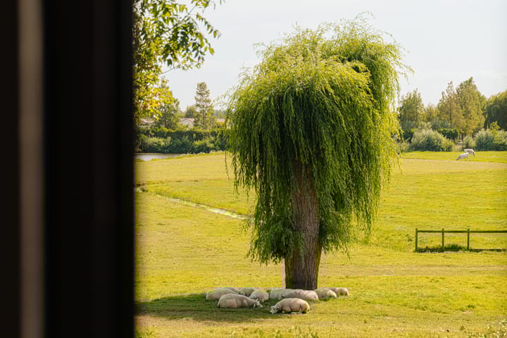 Foto 42 van Winkeldijk 11