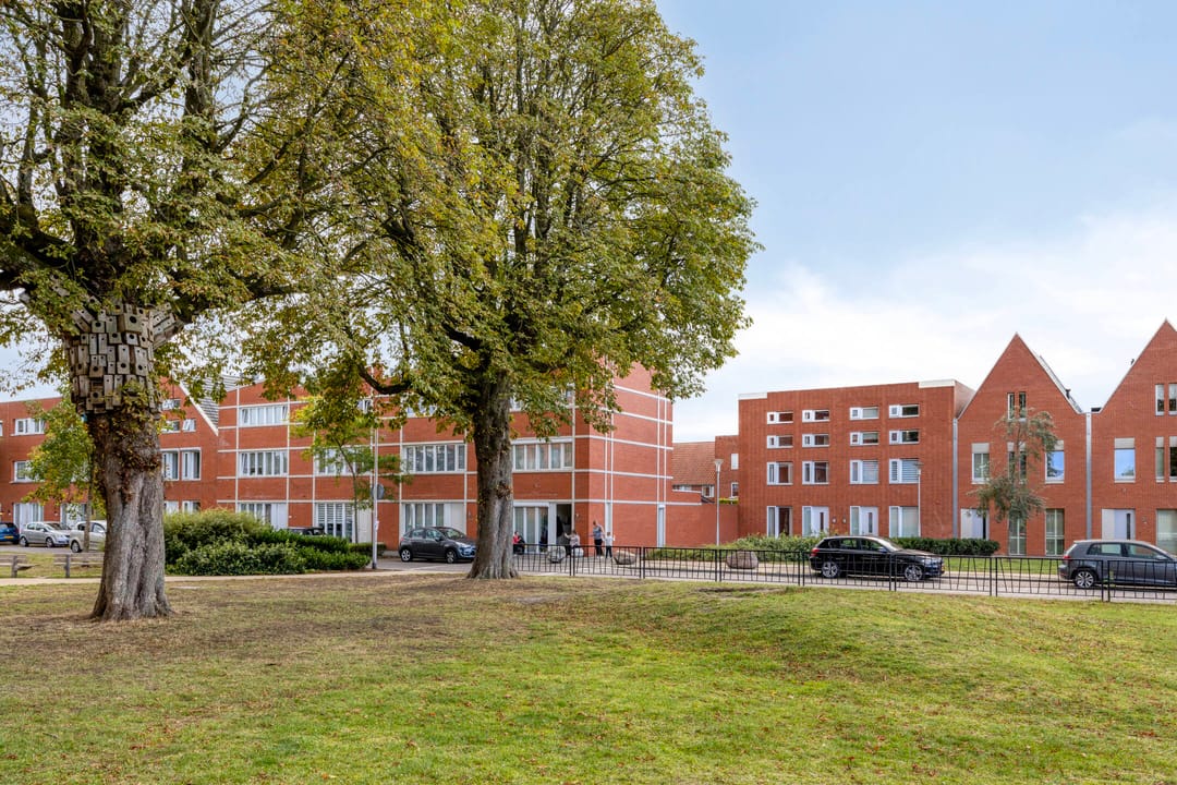 Foto 37 van Sint Pieterspark 135