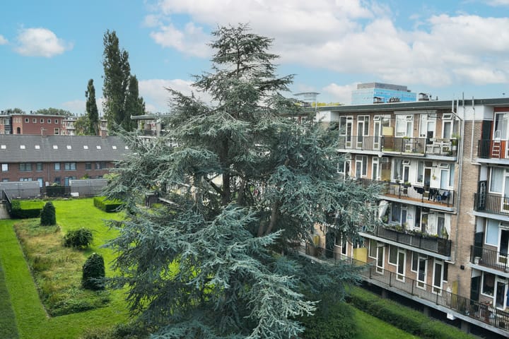 Foto 13 van Lucellestraat 25-3