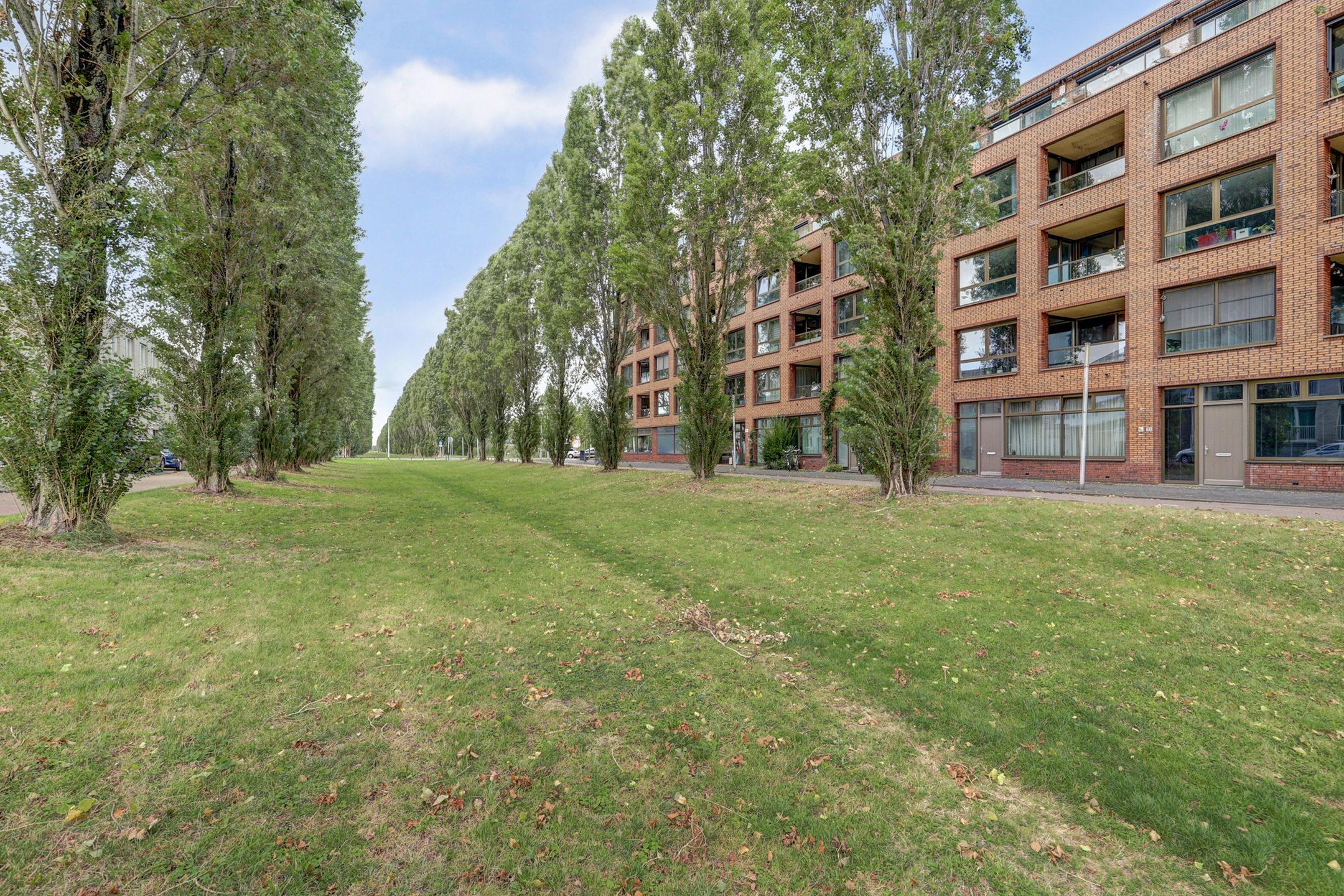 Foto 48 van Glenn Millerpad 13