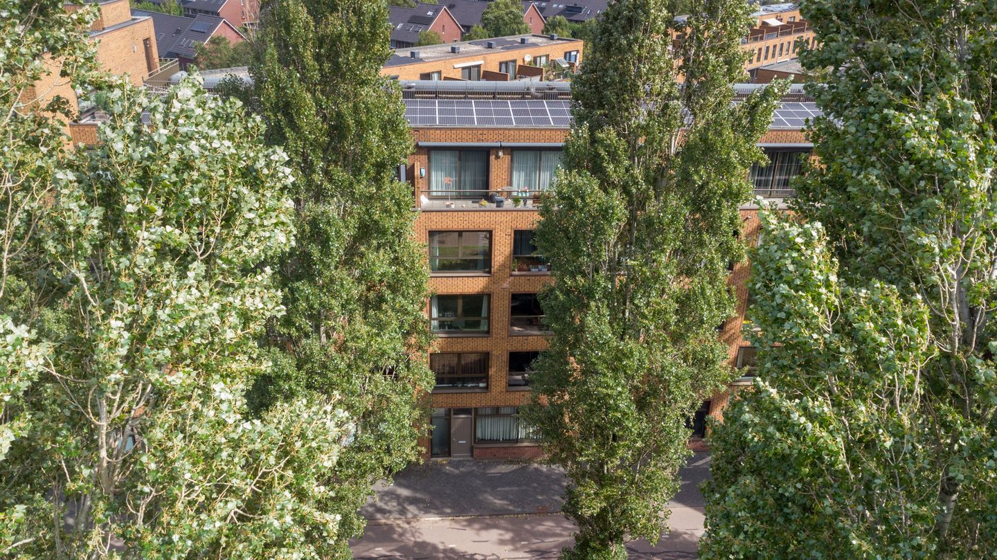 Foto 50 van Glenn Millerpad 13