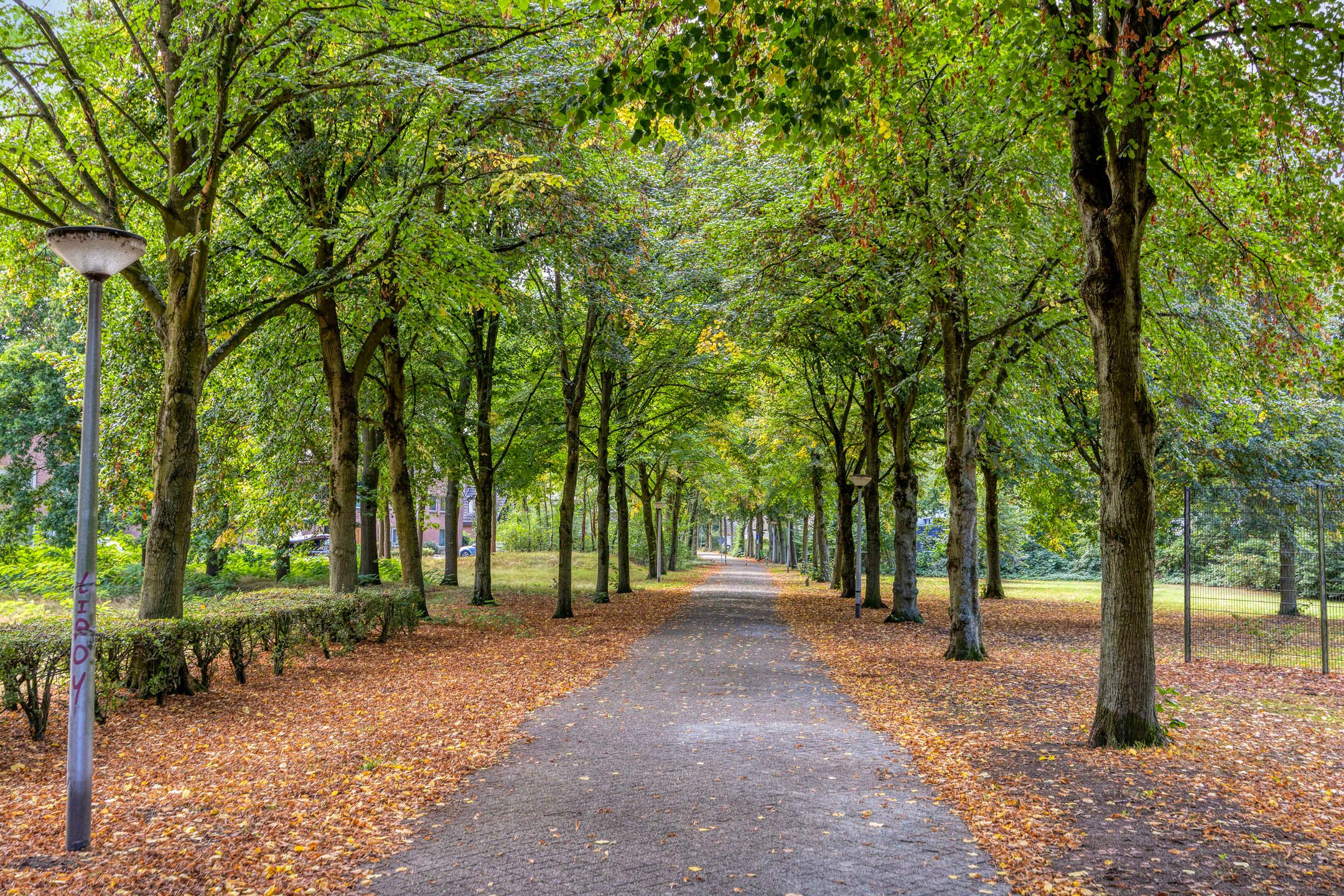 Foto 33 van De Bongerd 92